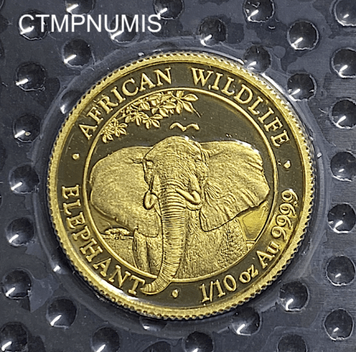 ,MONNAIE,SOMALIE,100,SHILLING,OR,ELEPHANT,2021,