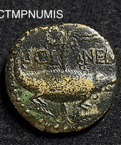 ,MONNAIE,AS,NIMES,CROCODILE,AUGUSTE,AGRIPPA,