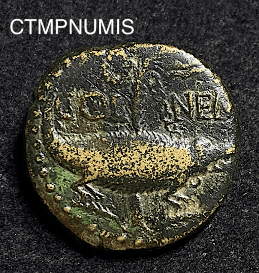 ,MONNAIE,AS,NIMES,CROCODILE,AUGUSTE,AGRIPPA,